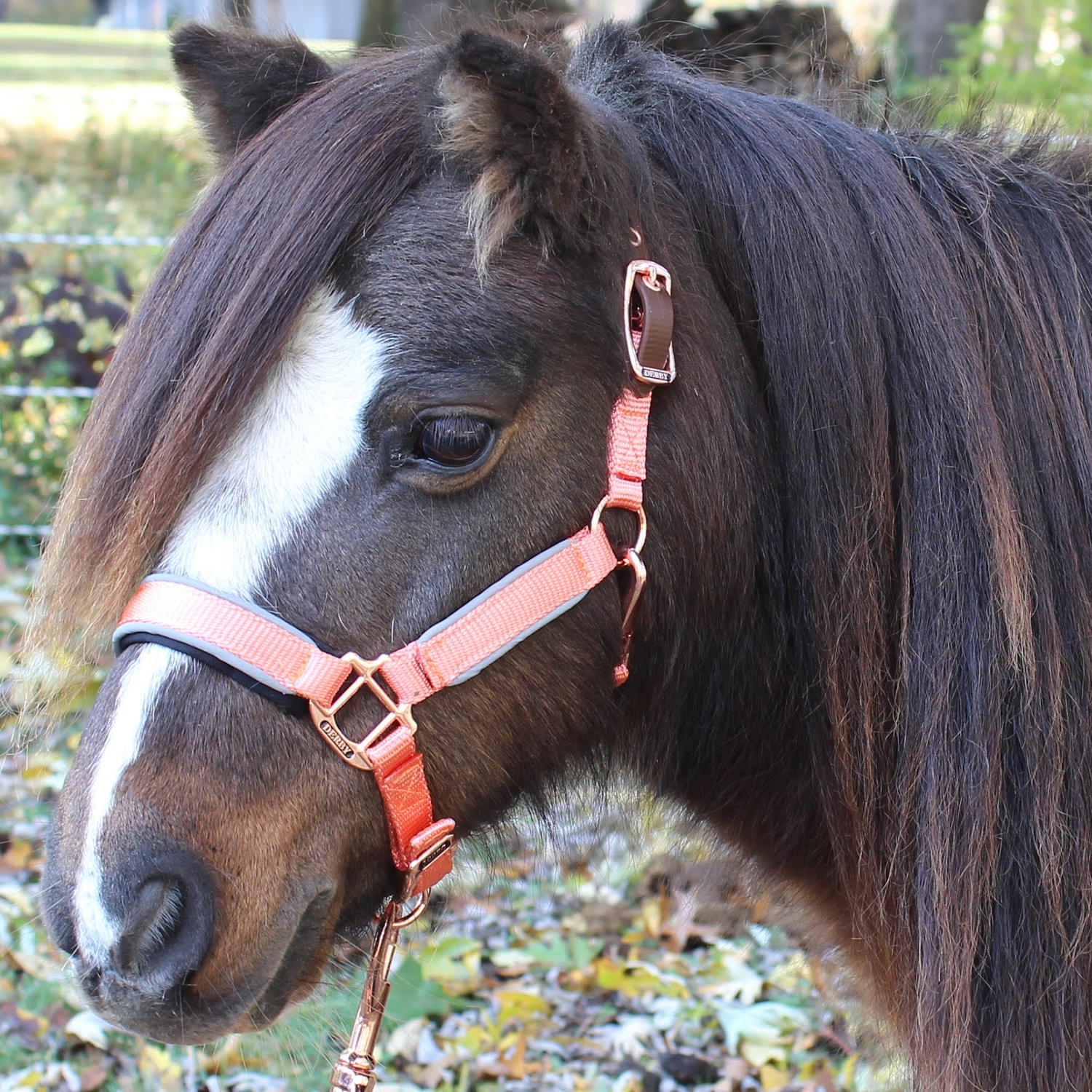 Derby Originals Rose Gold Reflective Safety Stable Horse Halters 