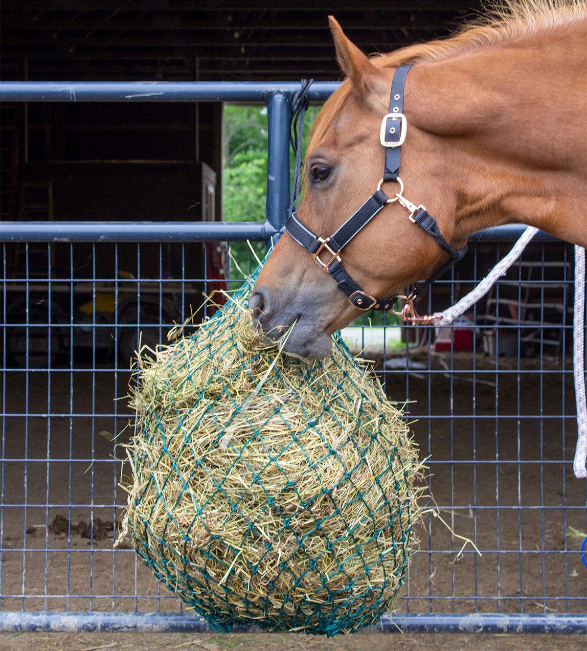 Derby Originals 48” Eager Feeder Slow Feed Hanging Hay Net for Horses Lifestyle