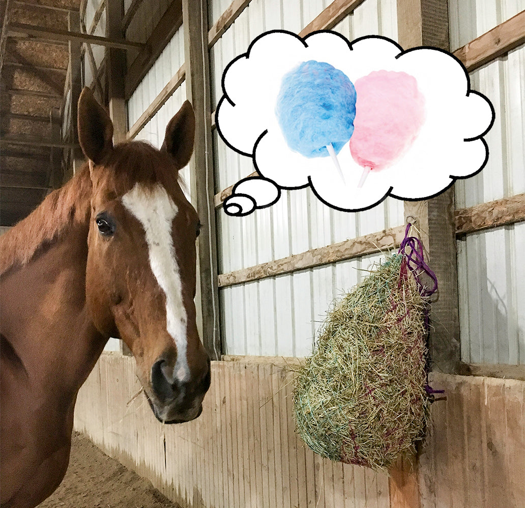 Slow Feed Hanging Hay Net for Horses