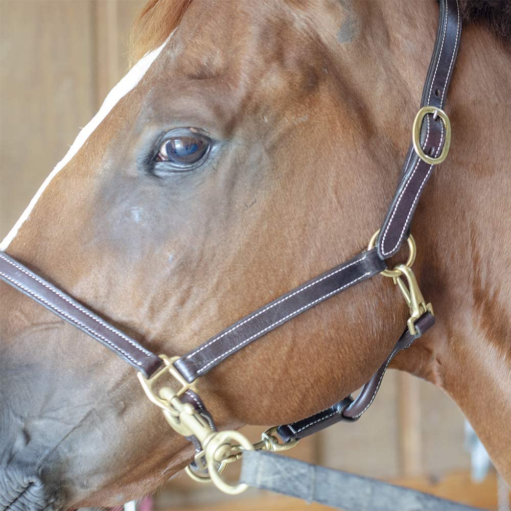 Derby Originals American Elegance Series - Convertible Double Stitch Leather Grooming Full Horse Halter - USA Leather