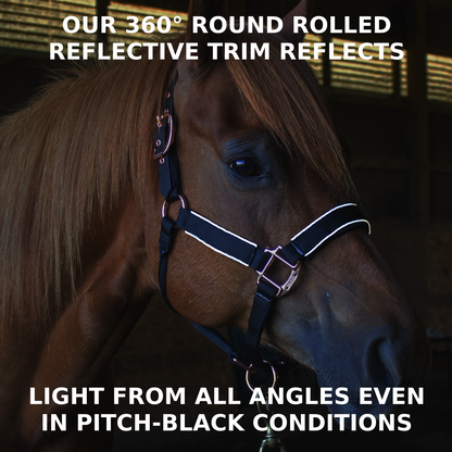 Reflective Safety Stable Horse Halters 