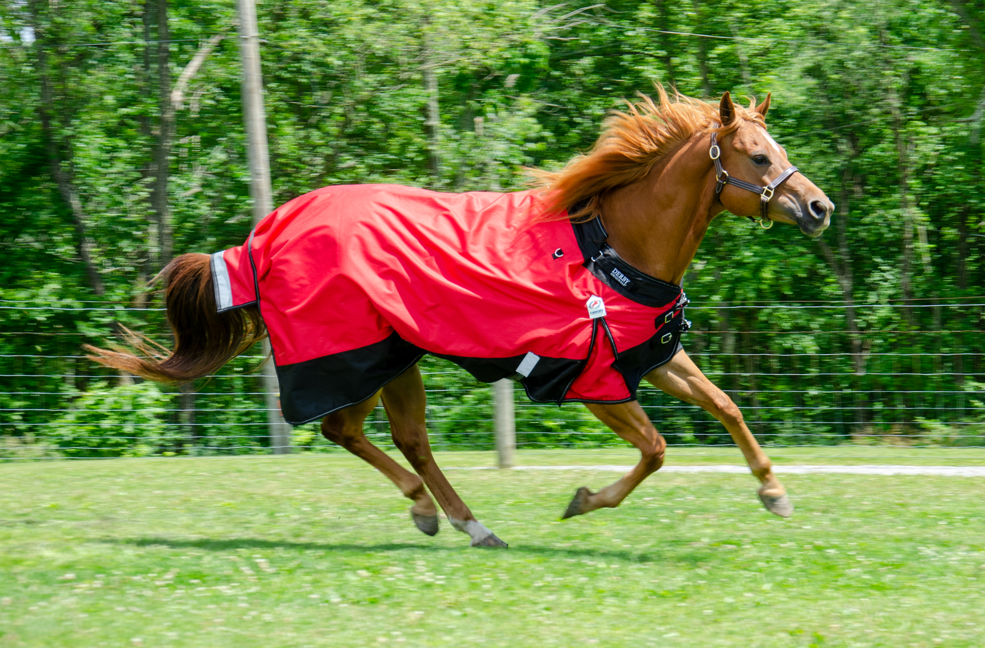 Derby Originals Nordic-Tough 1200D Heavy Weight Winter Horse Turnout Blanket 300g