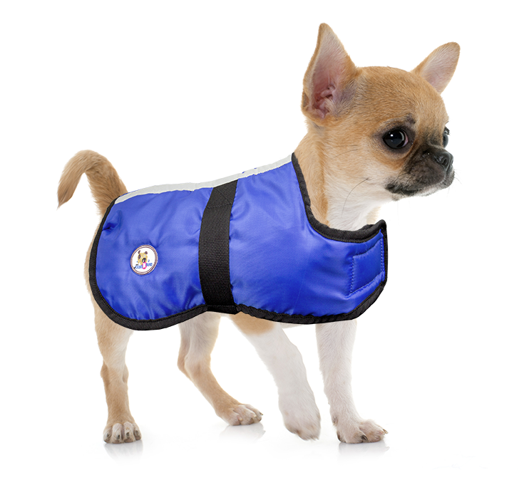 Lightweight Water Repellent Dog Coat Reversible Reflective by cuteNfuzzy