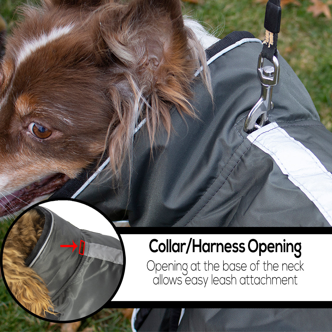 Derby Originals Heavyweight 220g Polyfil 420D Nylon Waterproof Reflective Winter Dog Parka With Harness Attachment