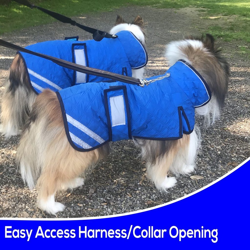 Premium Reflective Hydro Cooling Jacket with Adjustable Belly Band & Harness Compatible Opening