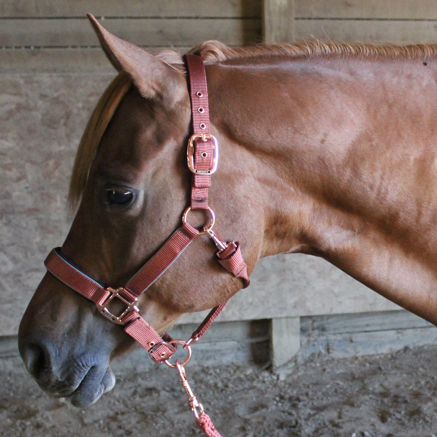 Derby Originals  Reflective Safety Stable Horse Halters 