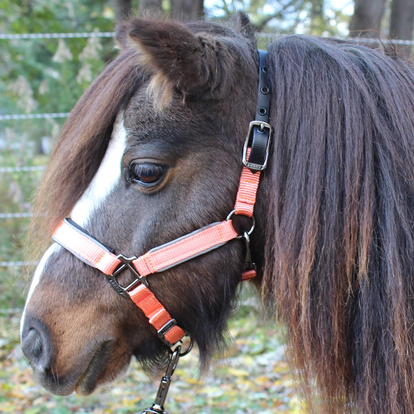 Reflective Safety Stable Horse Halters  Orange