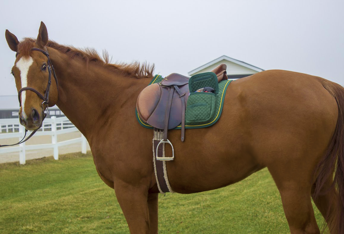 All Purpose English Saddle Pad with Pockets Half Fleece lined lifestyle