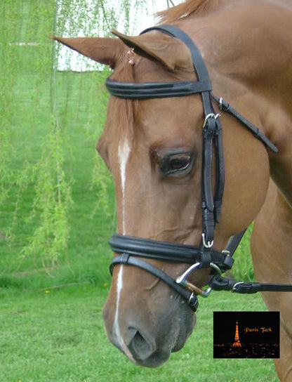 Dressage Crank Bridle with Flash and Rubber Reins Banner