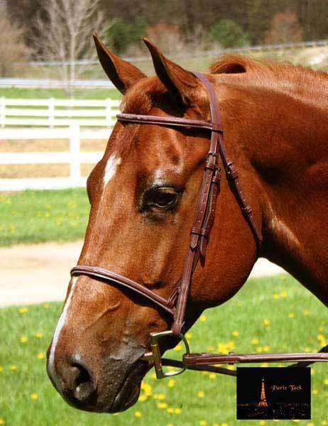 Paris Tack Raised Fancy Stitch Leather English Schooling Bridle with Laced Reins and 1 Year Warranty