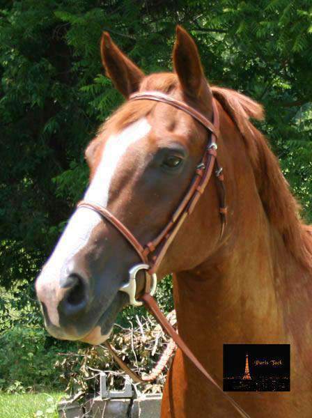 Paris Tack Raised Fancy Stitch Leather English Schooling Bridle with Laced Reins and 1 Year Warranty