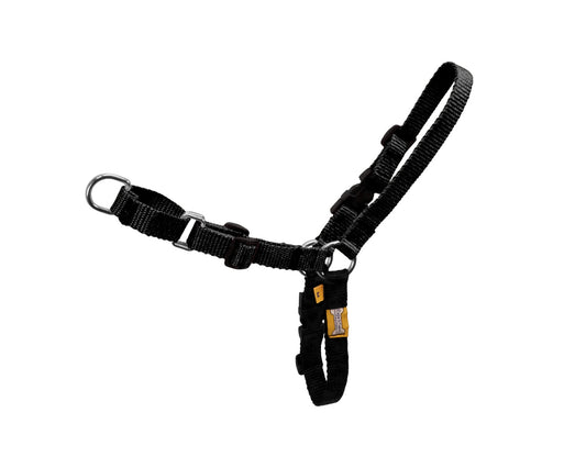 Comfort Walk Dog Harness by  cuteNfuzzyÂ®