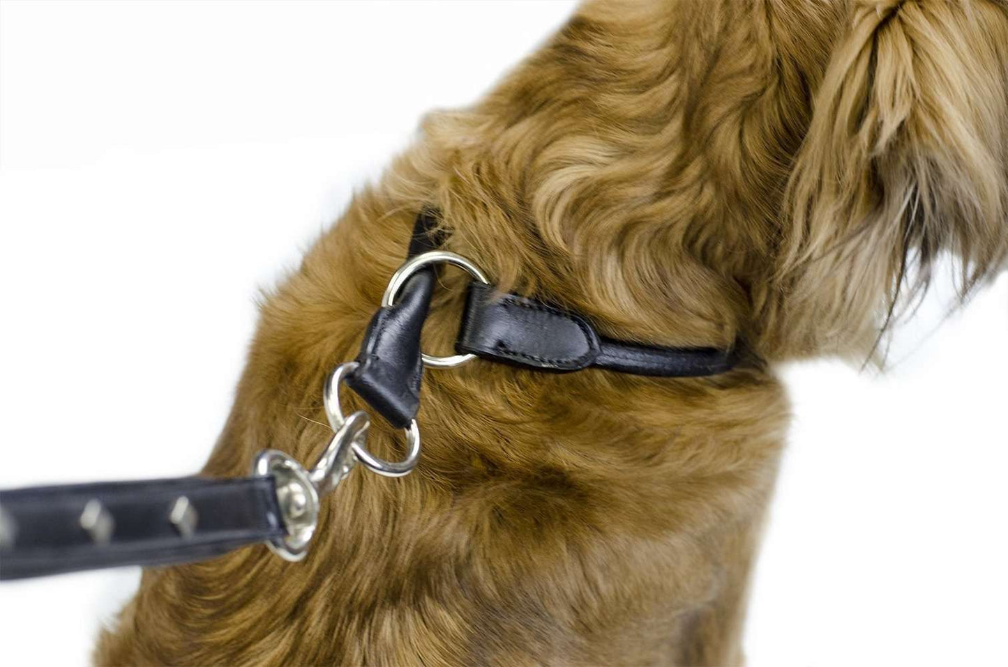 CuteNfuzzy Rolled Leather Choke Collar