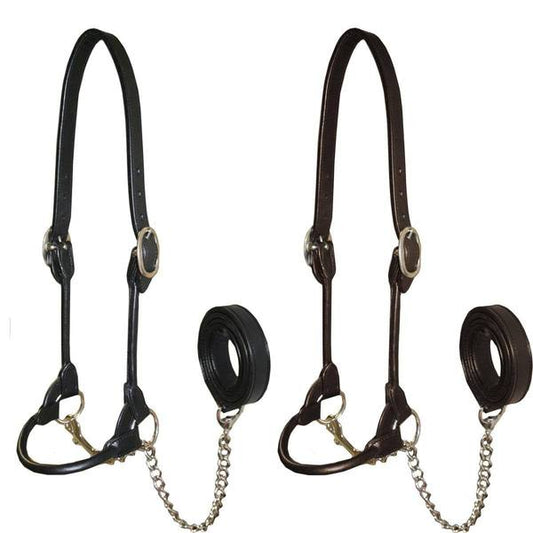 Derby Originals New and Improved Premium Round Rolled Leather Cattle Show Halter with Matching Chain Lead  