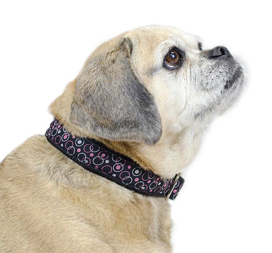 cuteNfuzzyÂ® Padded Adjustable Patterned Dog Collar with Warranty