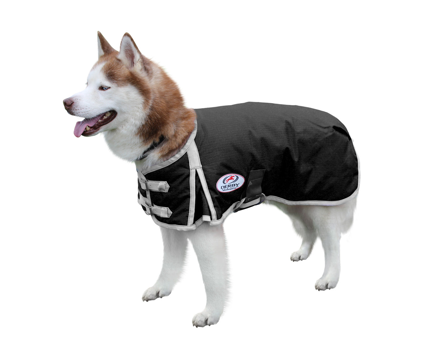 Derby 600D Dog Blanket Coat Waterproof black main