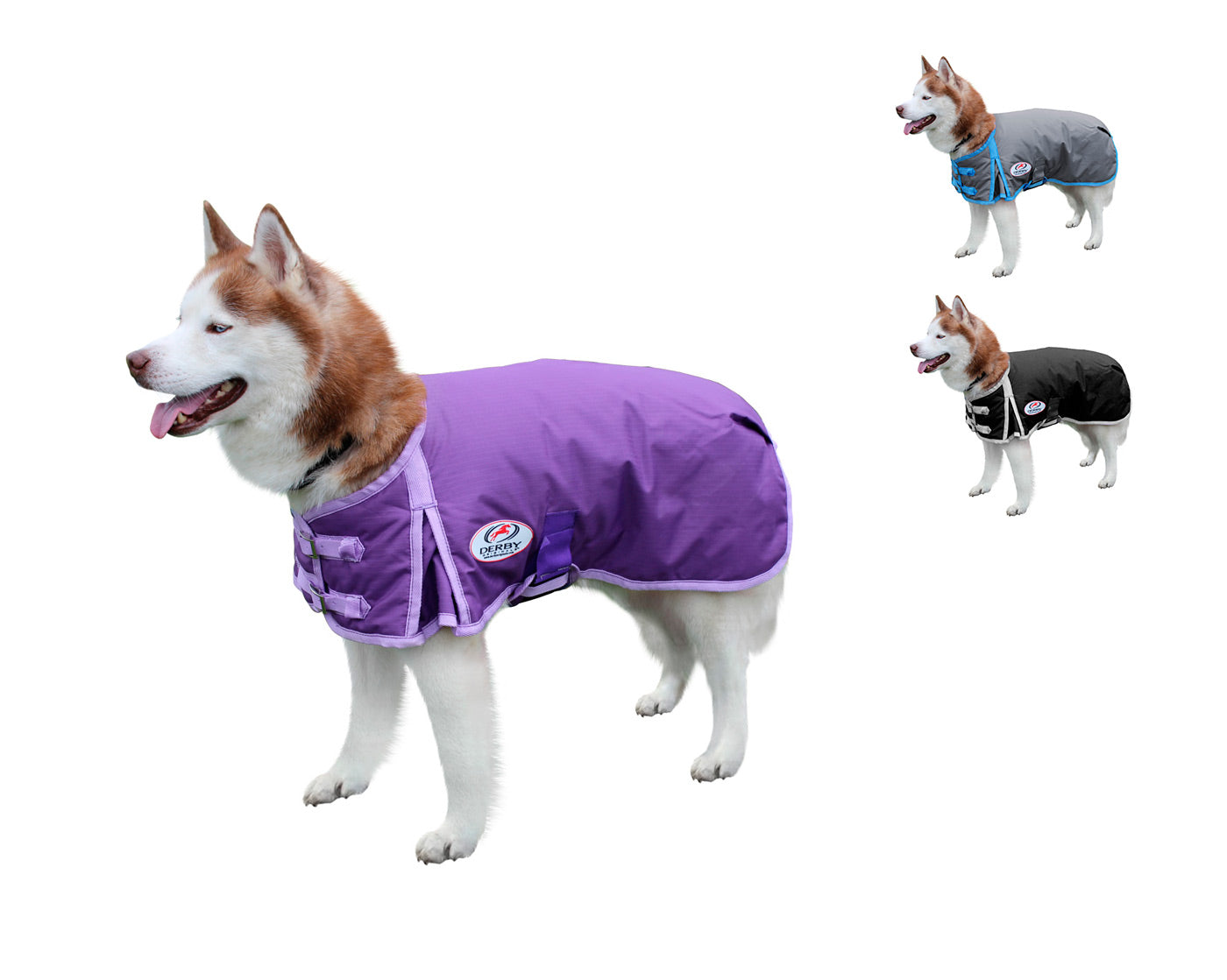 Derby 600D Dog Blanket Coat Waterproof Purple collection