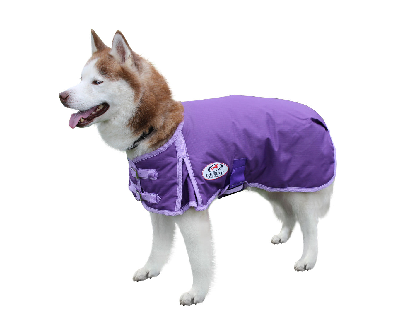 Derby 600D Dog Blanket Coat Waterproof  purple main