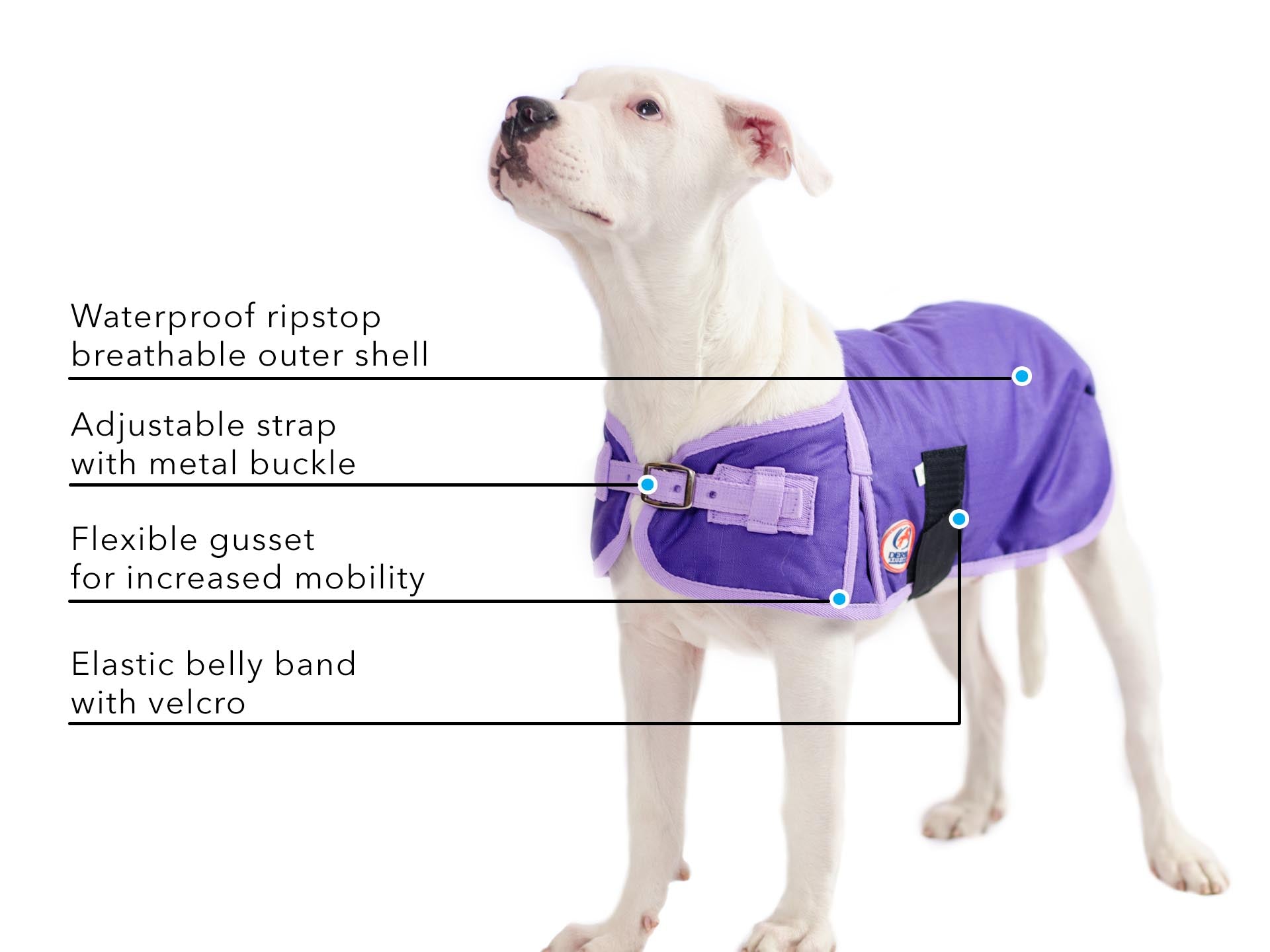 Derby 600D Dog Blanket Coat Waterproof  features