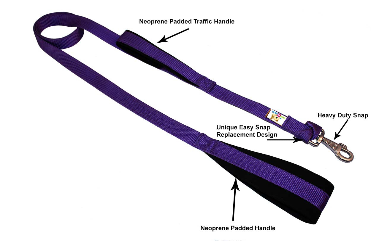 Padded Double Handle Dog Leash Warranted Replaceable Snap 1" X 6'