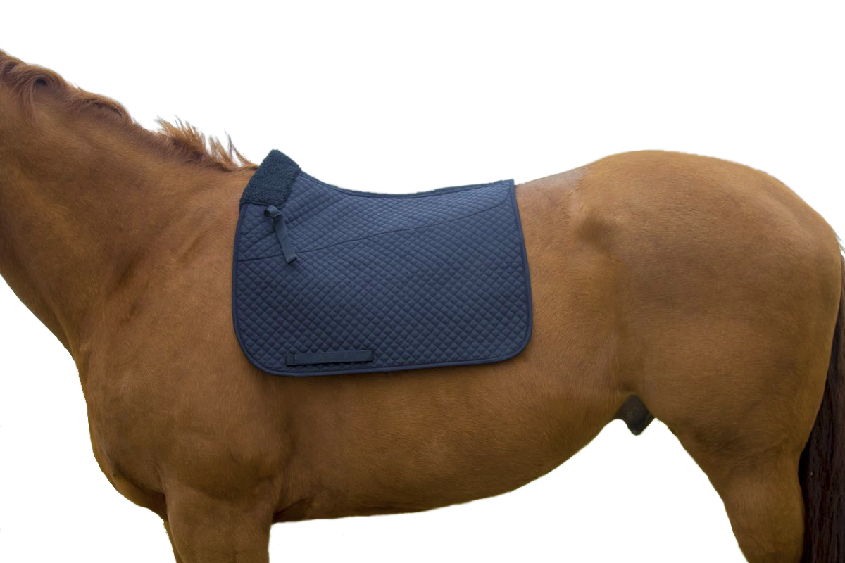 Semi Fleece Lined Dressage Saddle Pad by Derby Super Sale with Rolled Fleece