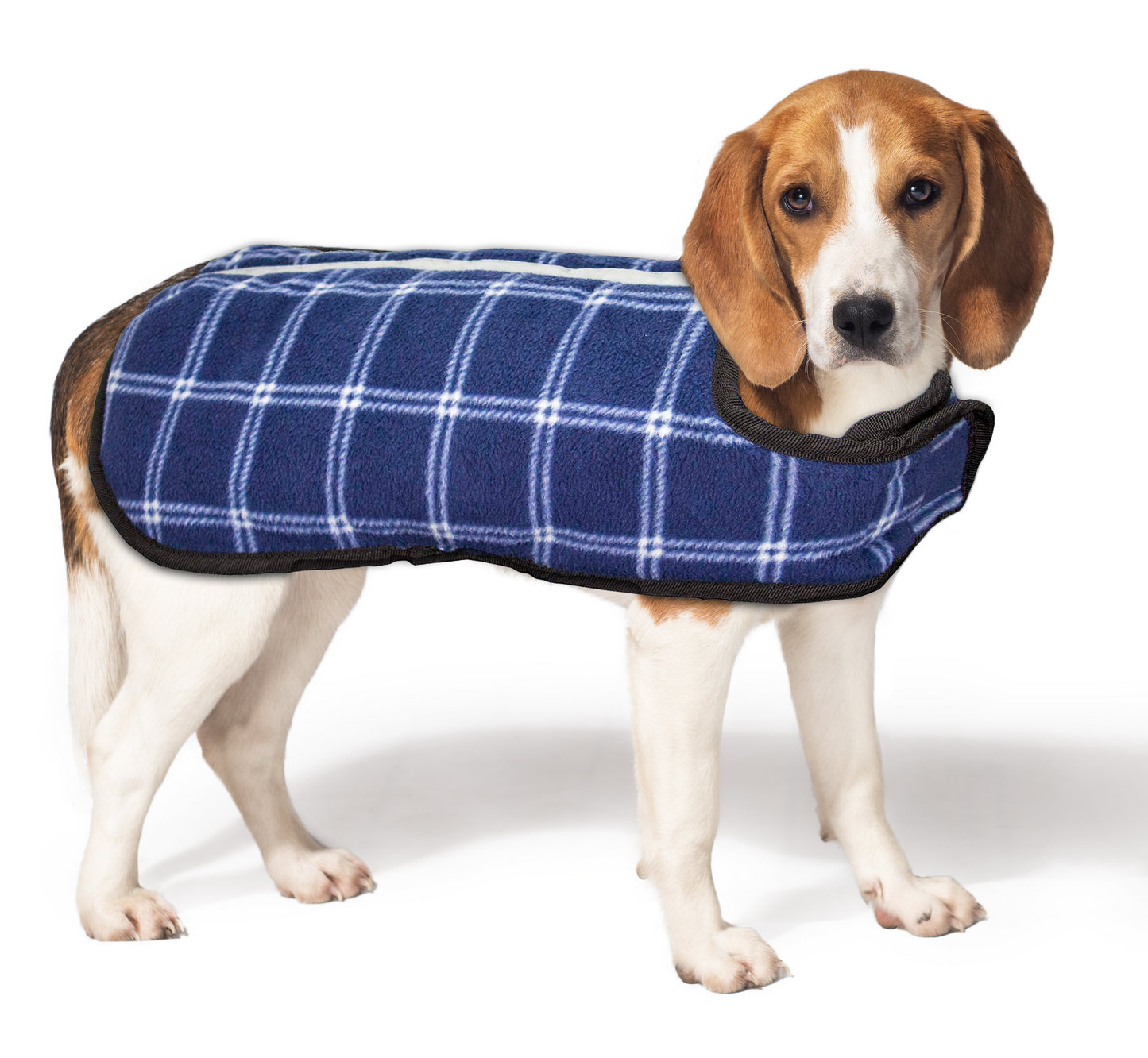 Lightweight Water Repellent Dog Coat Reversible Reflective by cuteNfuzzy