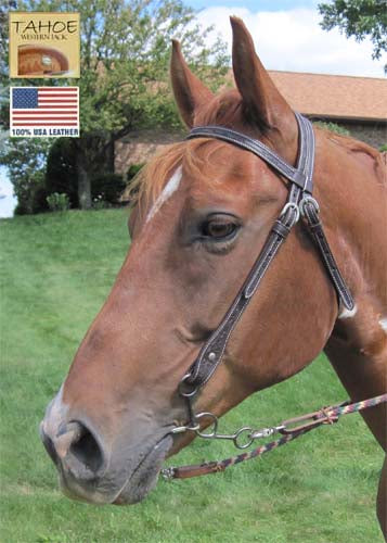 Tahoe Tack USA Leather Leaf Tooled Western Browband Headstall