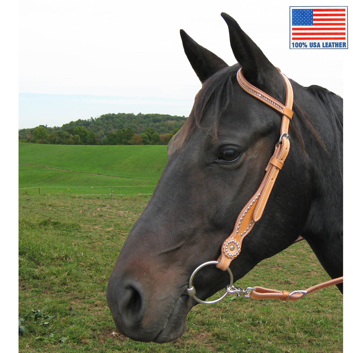 Tahoe Tack USA Leather Pink Swarovski Crystal Inlaid Western Slip Ear Headstall