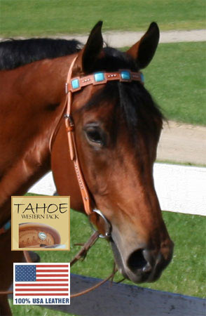 Tahoe Tack USA Leather Saquaro Ostrich Print Square Western Browband Headstall Banner Image