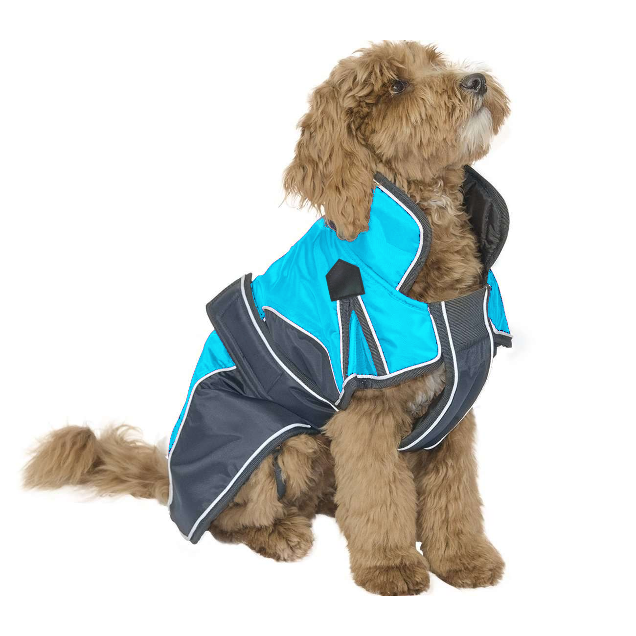 Nylon Waterproof Reflective Winter Dog Parka With Harness Blue color