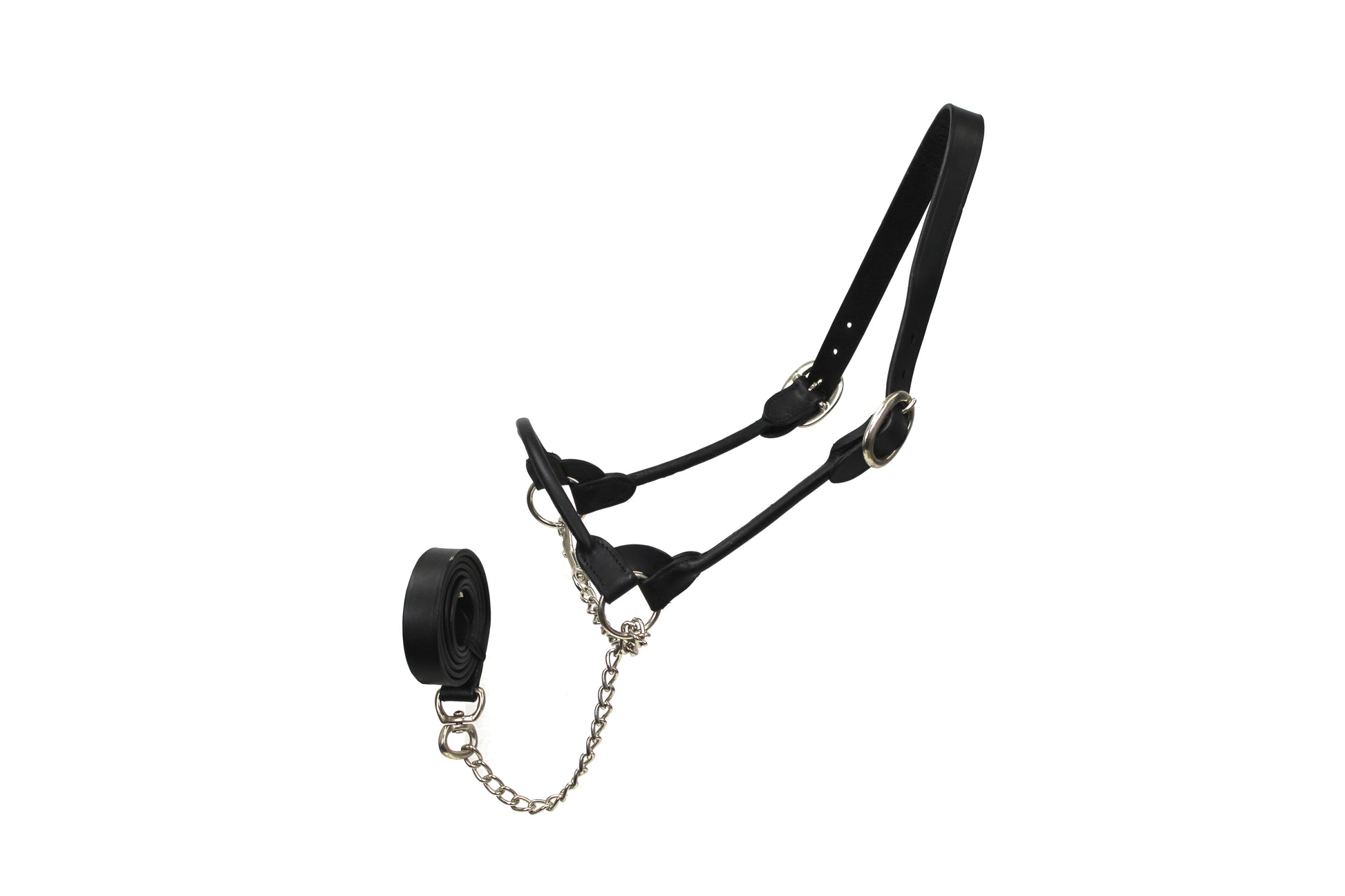 Premium Round Rolled Leather Cattle Show Halter with Matching Chain Lead  Black