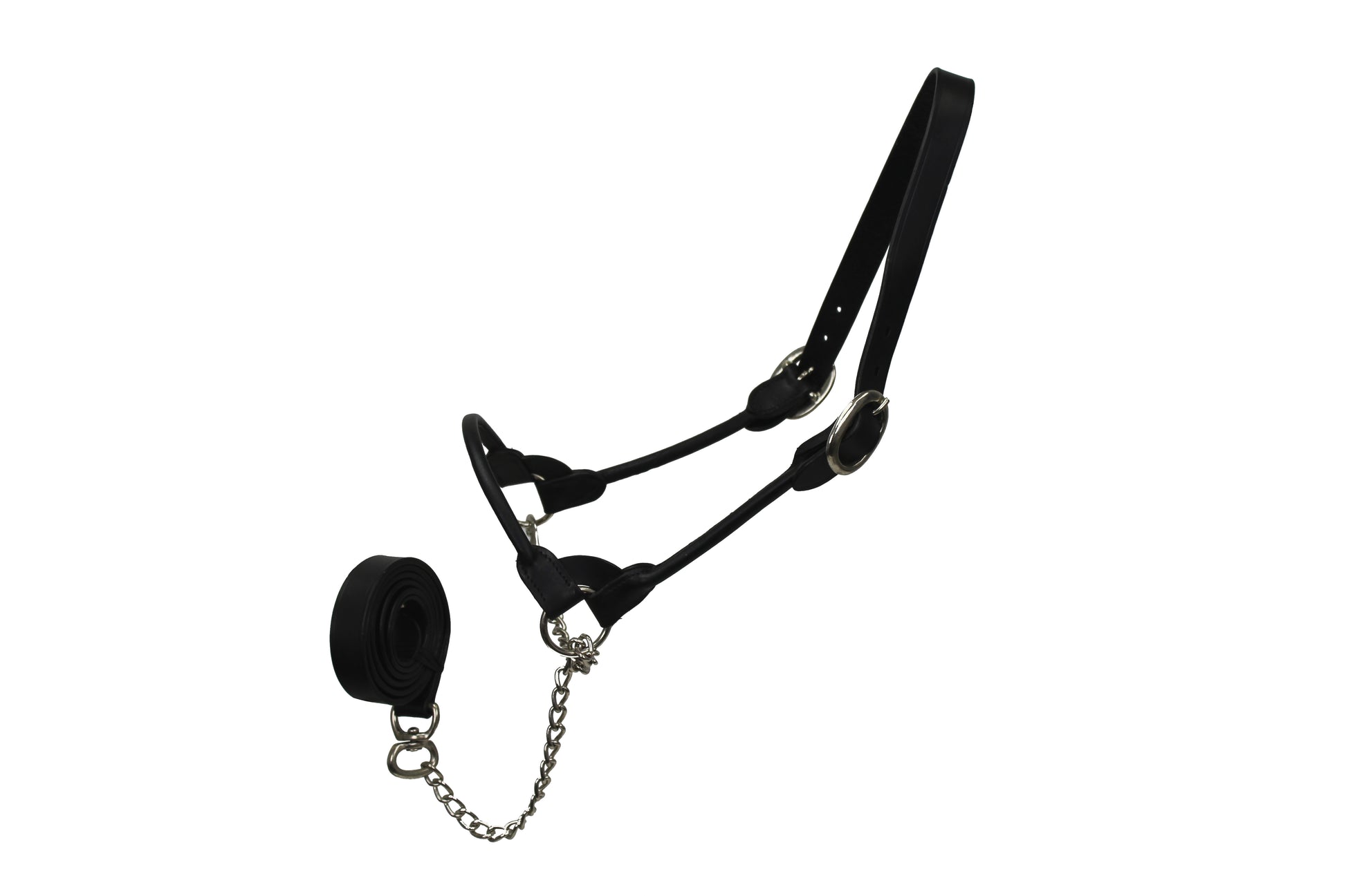 Leather Cattle Show Halter with Matching Chain Lead  