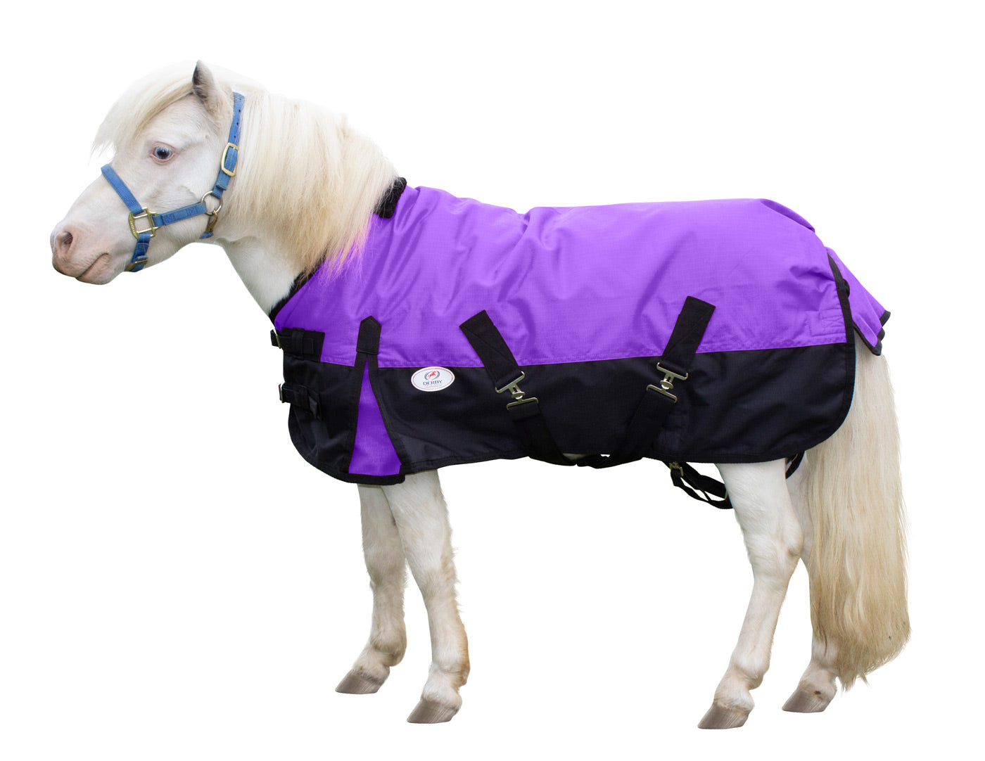 Derby Originals Classic 600D Medium Weight Winter Mini Horse Pony Turnout Blanket Purple main