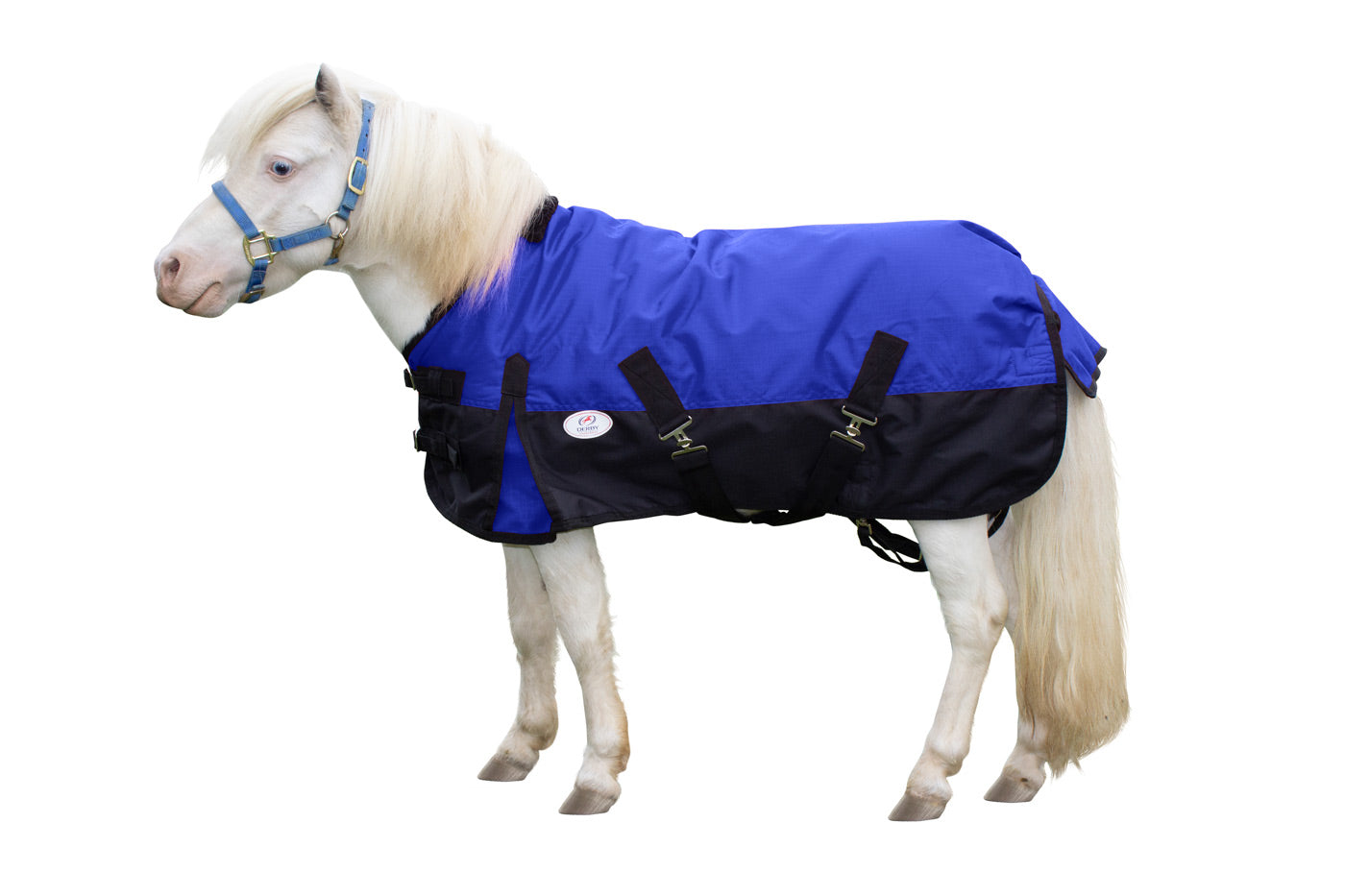 Derby Originals Classic 600D Medium Weight Winter Mini Horse Pony Turnout Blanket Royal Blue