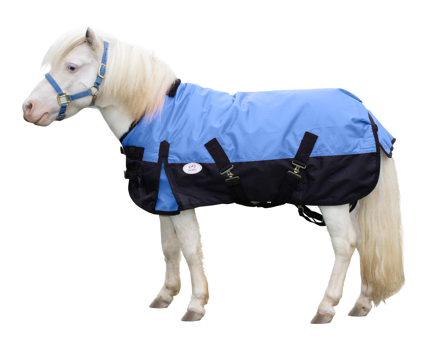 Derby Originals Classic 600D Medium Weight Winter Mini Horse Pony Turnout Blanket Sky blue main