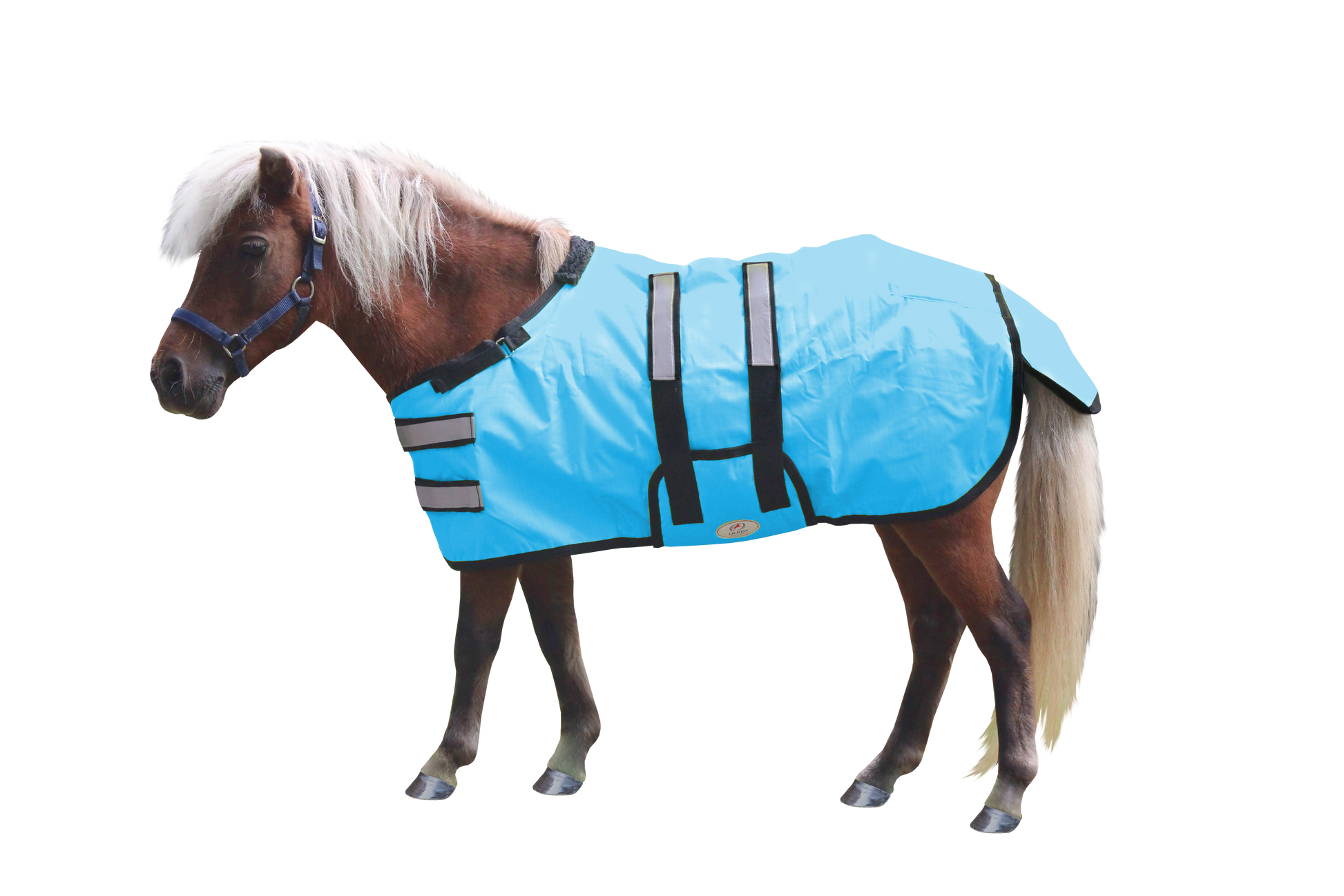 Derby Originals Reflective Safety No Hardware Winter Foal Turnout Blanket Blue main