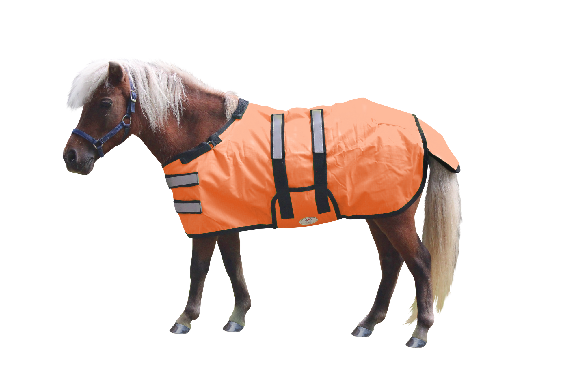 Derby Originals Reflective Safety No Hardware Winter Foal Turnout Blanket Orange Main