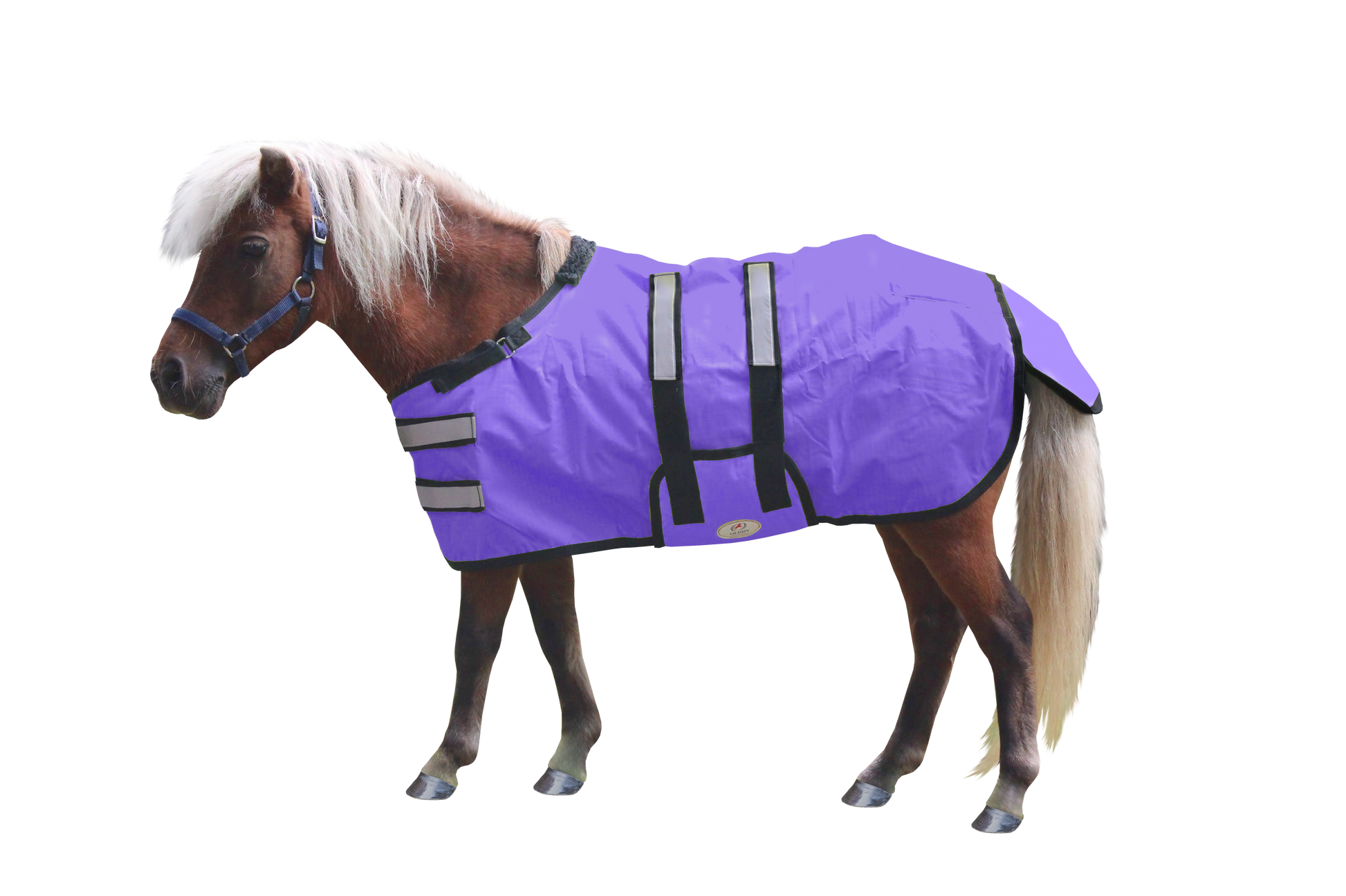 Derby Originals Reflective Safety No Hardware Winter Foal Turnout Blanket Purple Main