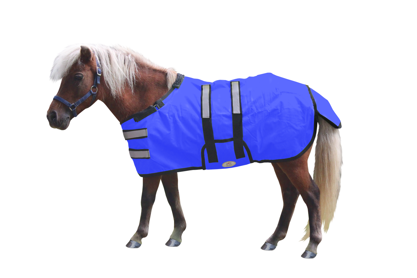 Mini_Horse_Blanket_Reflective_No_Hardware_Royal_Blue_Main_80-8067