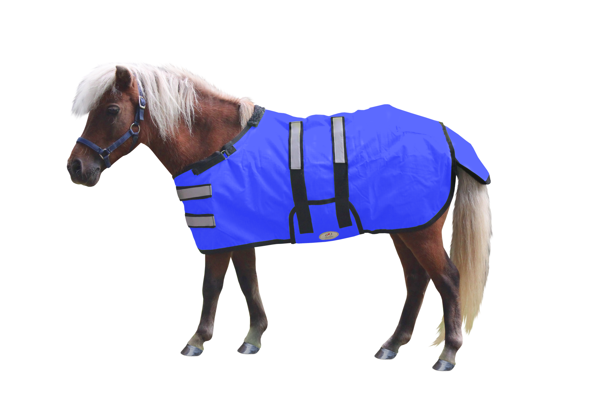 Mini_Horse_Blanket_Reflective_No_Hardware_Royal_Blue_Main_80-8067