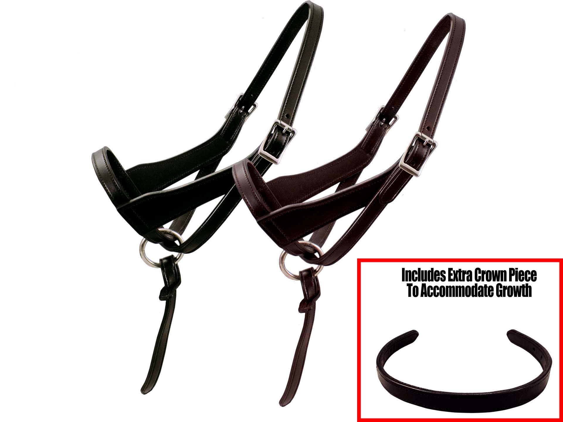 Pull Back Halter Made From Nylon - Two Horse Tack