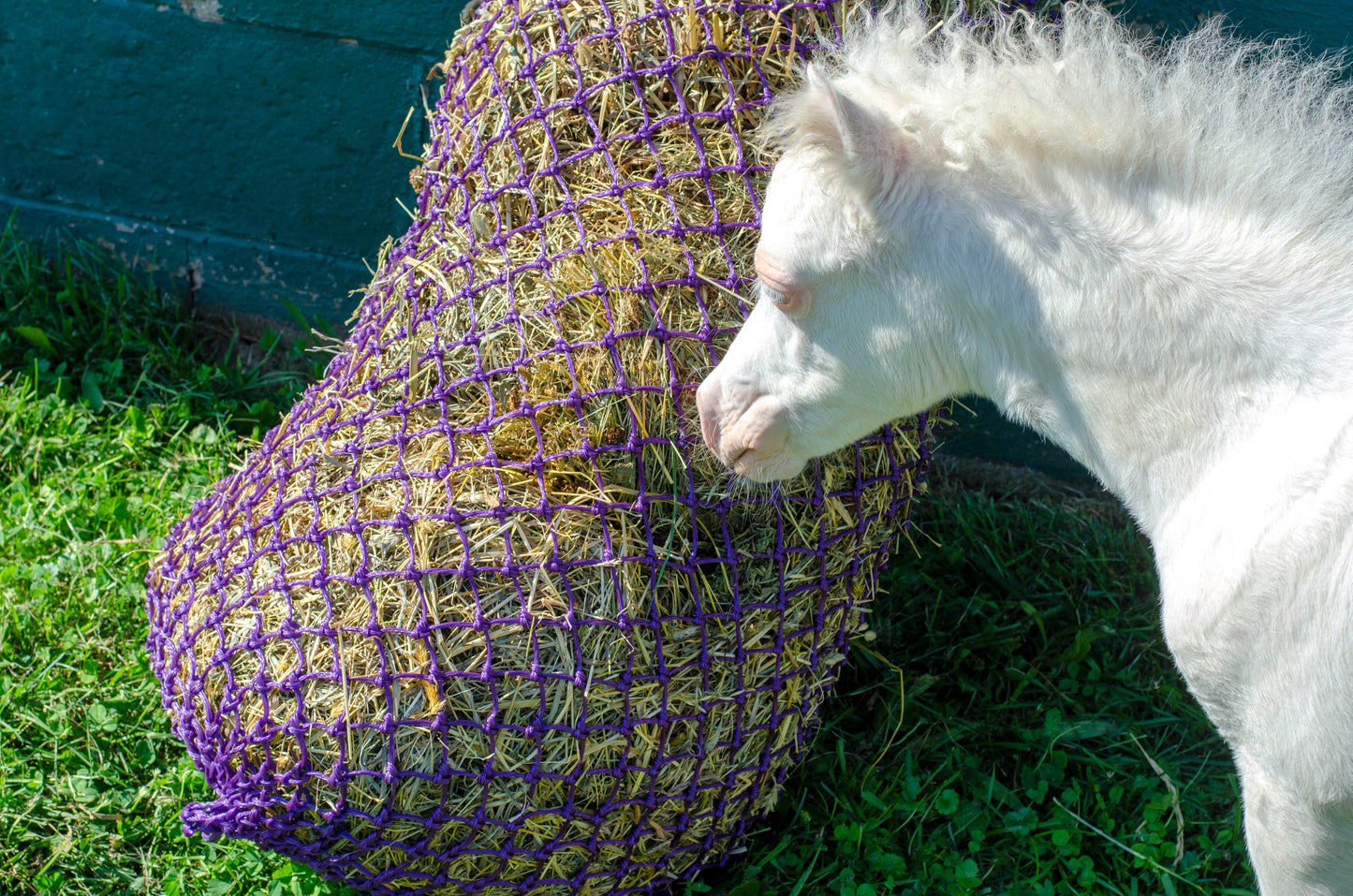 Derby Originals 56” Ultra Slow Feed Hay Nets for Horse 1.5" Holes Hold 8 Flakes