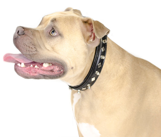 Derby Dog Designer Series USA Leather Spikes and Diamond Padded Dog Collar with Stainless Steel Rolled Buckle for Comfort