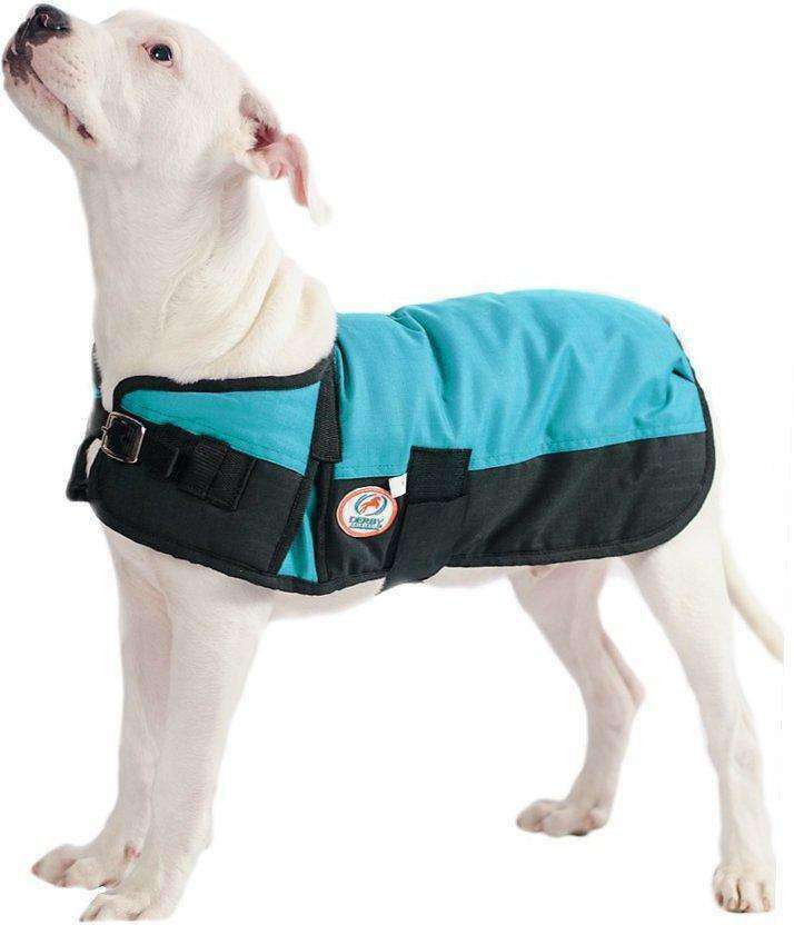 Derby Originals Horse Tough 600D Ripstop Waterproof Winter Dog Coat  Blue main