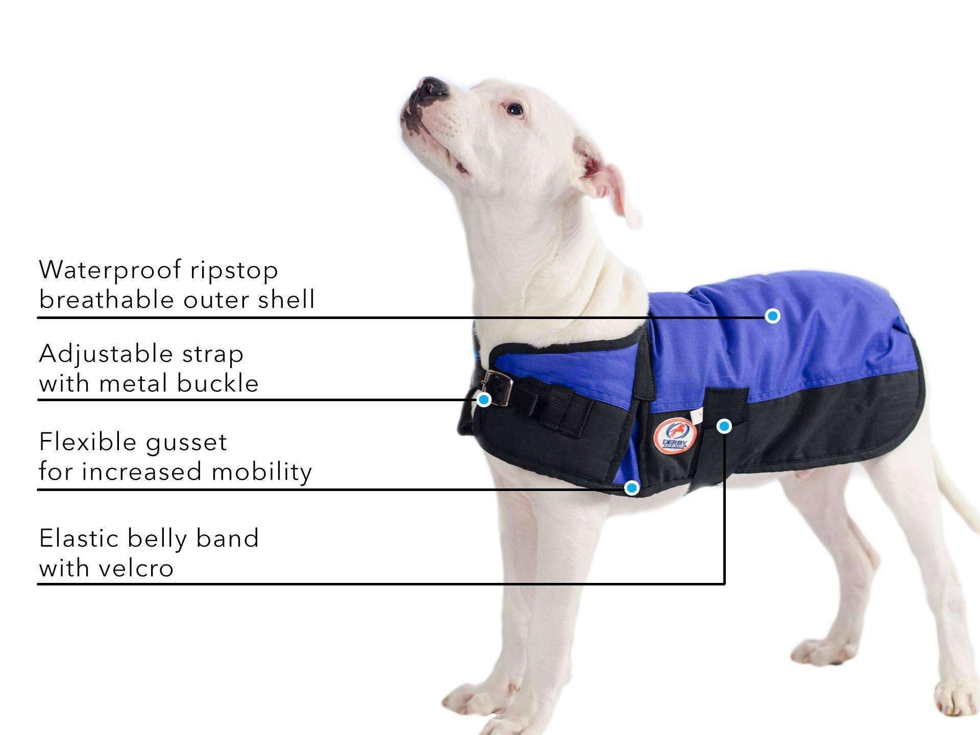 Derby Originals Horse Tough 600D Ripstop Waterproof Winter Dog Coat Infographic