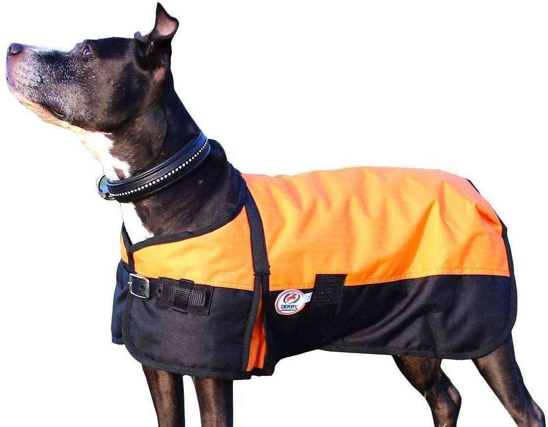 Derby Originals Horse Tough 600D Ripstop Waterproof Winter Dog Coat  Orange Main