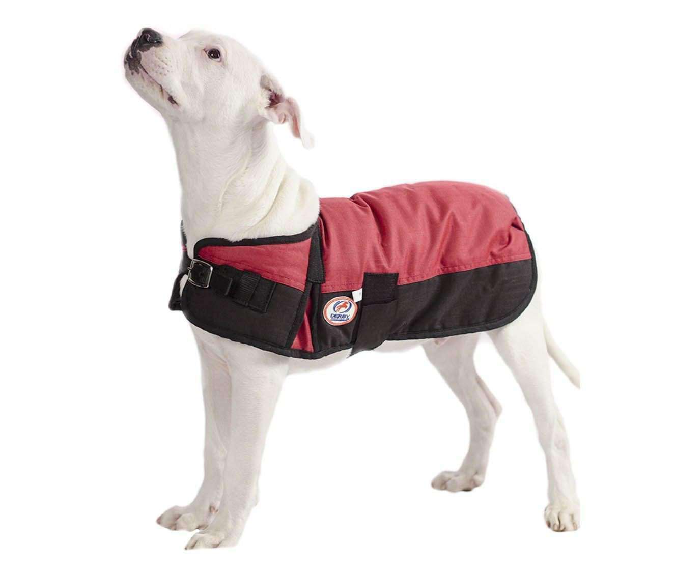 Derby Originals Horse Tough 600D Ripstop Waterproof Winter Dog Coat Red Main