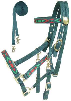 Derby Padded Nylon Halter Bridle Combo with Reins Aztec Design Green