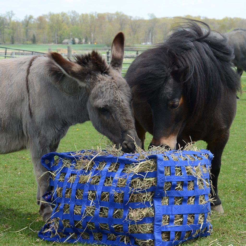 Derby Originals Natural Grazer Slow Feeder Horse Hay Bag lifestyle mini donkey